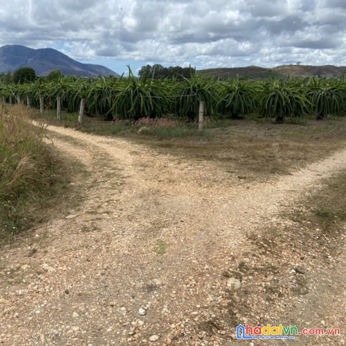 Một lô hot vip ngay hàm cường, hàm thuận nam