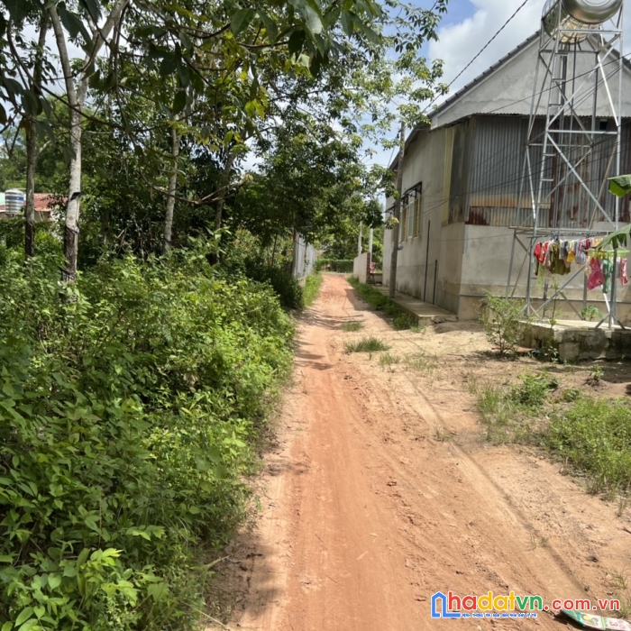 Bán 425m2 đất thạnh tây, tân biên, tây ninh