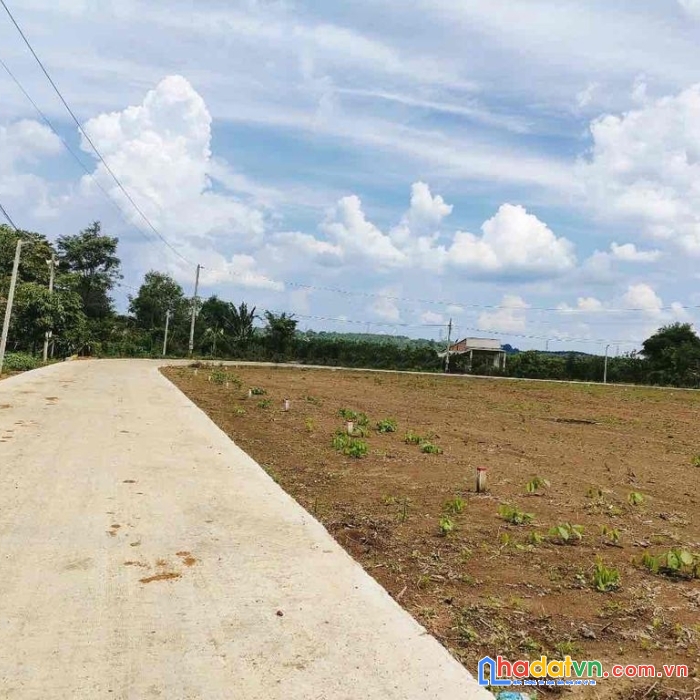 Em chính chủ cần bán nhanh 1228.5 m2 đất ở thổ cư  giá 365tr. 
