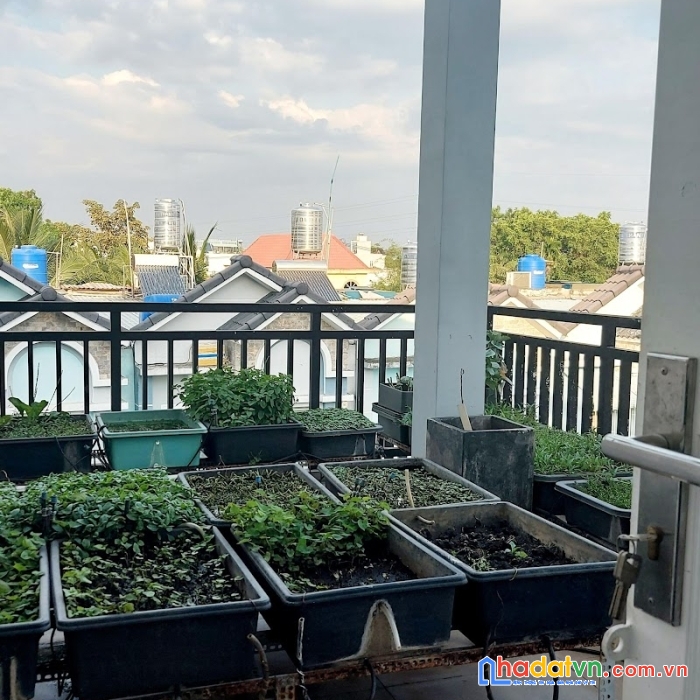 Bán biệt thự mini sát lũy bán bích, 160m2, 8x20, 4 tầng, 15.9 tỷ