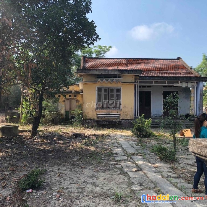 Cho thuê đất làm kinh doanh cafe vườn tại phường điện ngọc, thị xã điện bàn, quảng nam