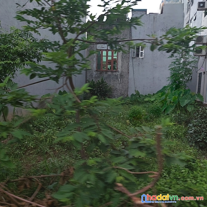 Đất tư đình siêu đẹp 90m2 ôtô thông thoáng nhỉnh 10 tỷ