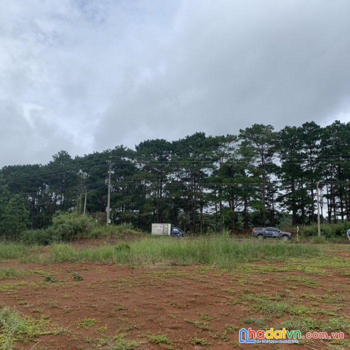 Dự án phân lô từ 1000m2/nền thuộc xã blá - huyện bảo lâm - lâm đồng