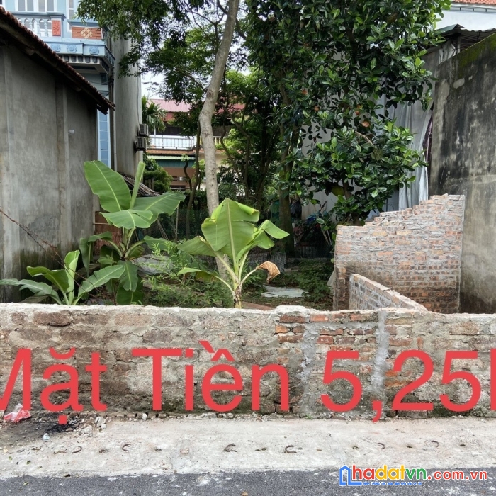 Chính chủ cần bán lô đất tại trục chính xóm trại - quất lưu -  bình xuyên - vĩnh phúc