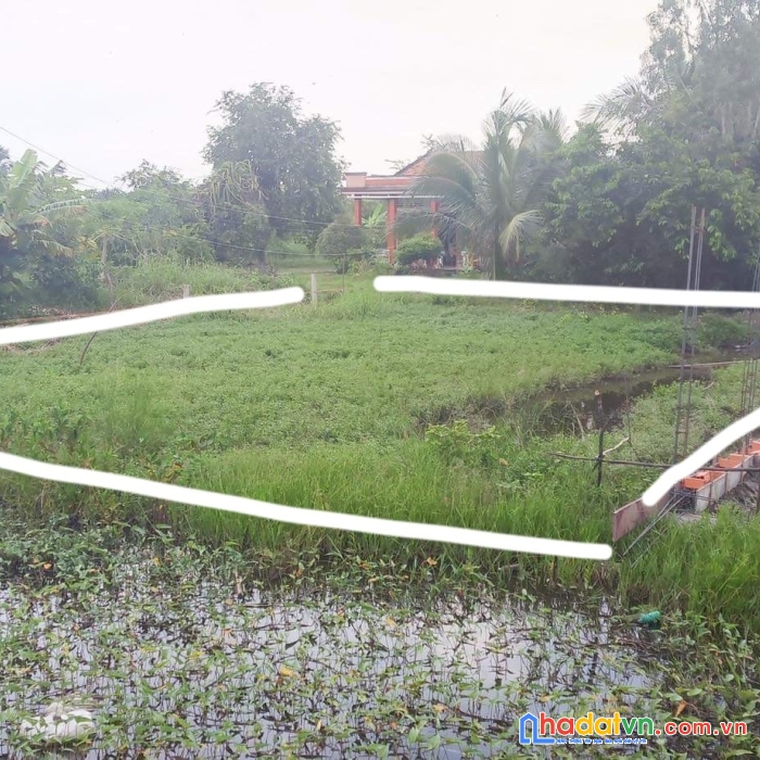 Chính chủ cần bán lô đất vị trí đẹp tại xã tân tập, huyện cần giuộc, tỉnh long an