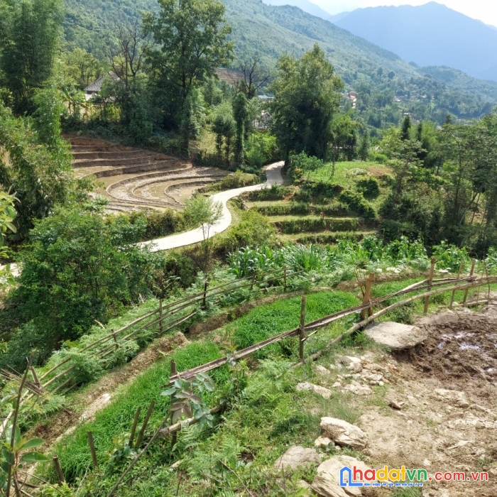 Siêu phẩm tại bản du lịch cộng đồng y tý (sapa 2)