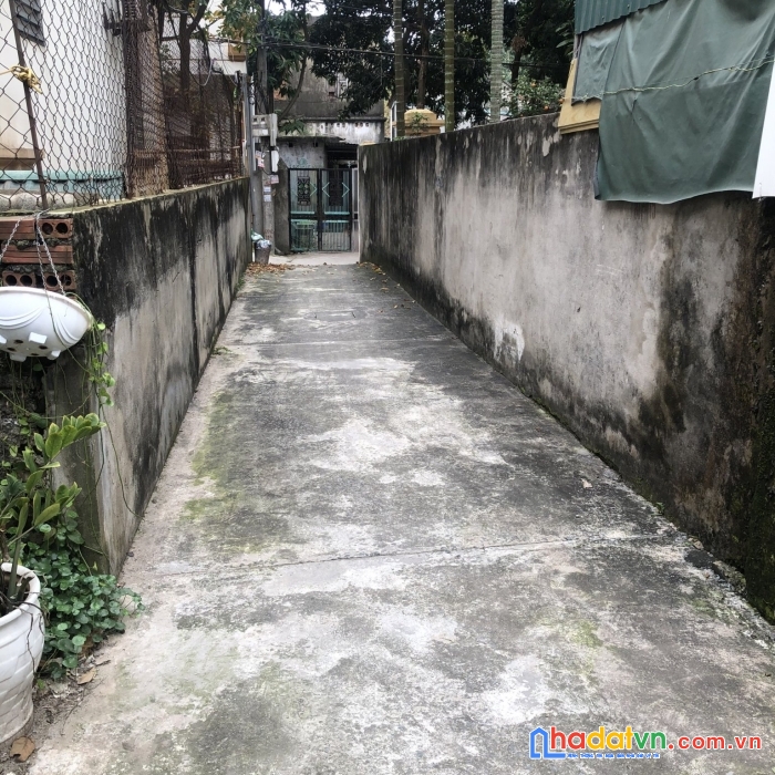 Chinh chủ em cần thanh khoản lô đất 62m tại xóm 3 cổ điển hải bối đông anh 
-mt 5m- mh 5m