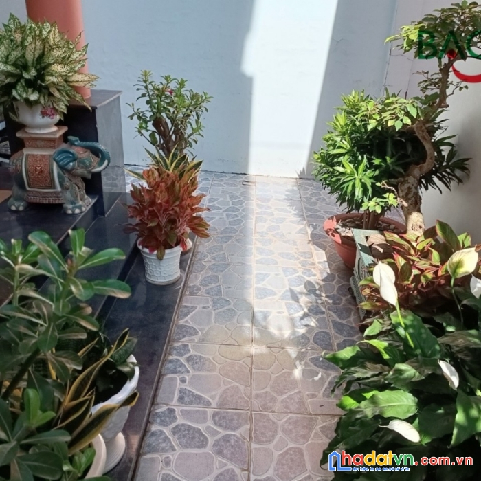 Bán nhà mặt tiền kinh doanh đường trương định ngang 6m, shr thổ cư 100%