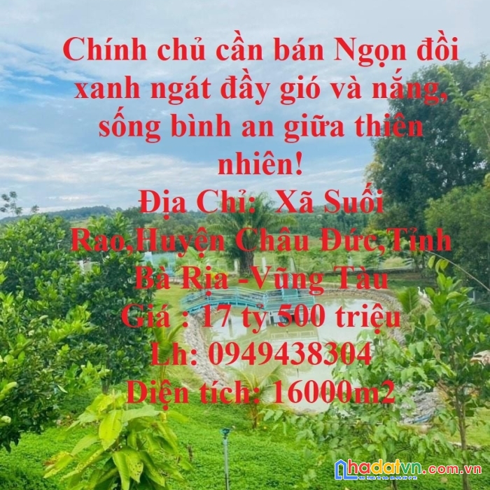 Chính chủ cần bán ngọn đồi xanh ngát đầy gió và nắng, sống bình an giữa thiên nhiên!