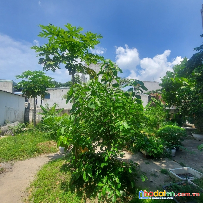 Bán đất mỹ an mt chế lan viên, lô góc, 715m2, 20x36