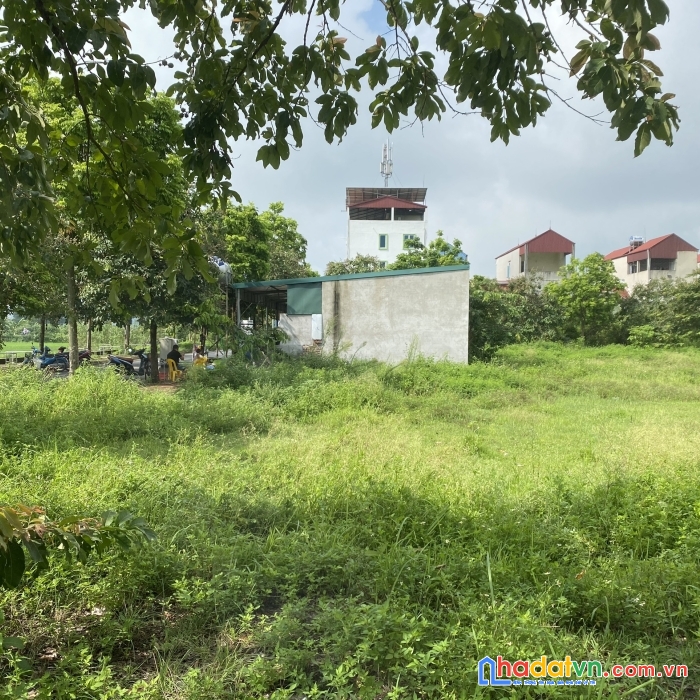 Đất đấu giá - phân lô vỉa hè - lô góc 155m2 tại bắc hạ, quang tiến, sóc sơn, hà nội