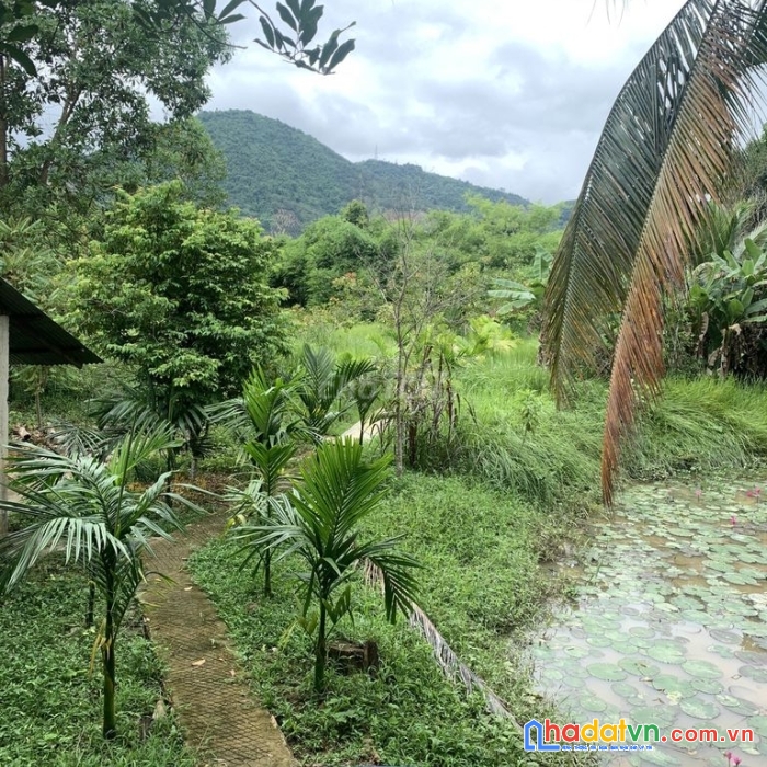 Chính chủ cần bán đất nghỉ dưỡng cao cấp thị trấn ma đa guôi, huyện đạ huoai, lâm đồng liên hệ:
