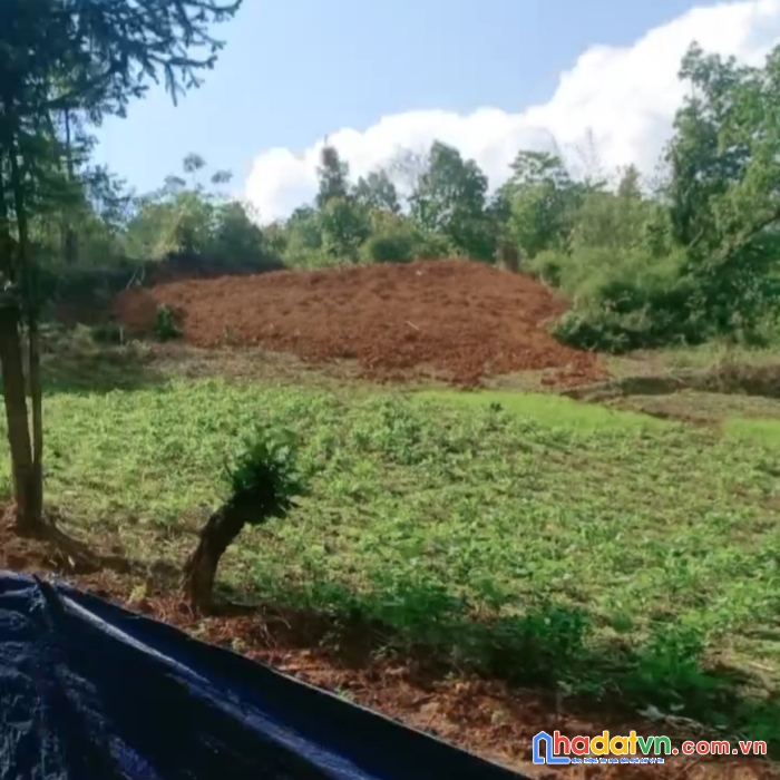 Bán đất trung tâm y tý .tài chính nhỏ phù hợp