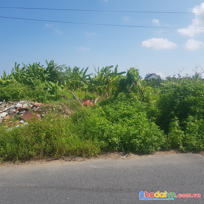 Chỉ 1x triệu/m2 có ngay lô đất vuông vức mặt đường nguyễn như quế, đa phúc cực tiềm năng lh: