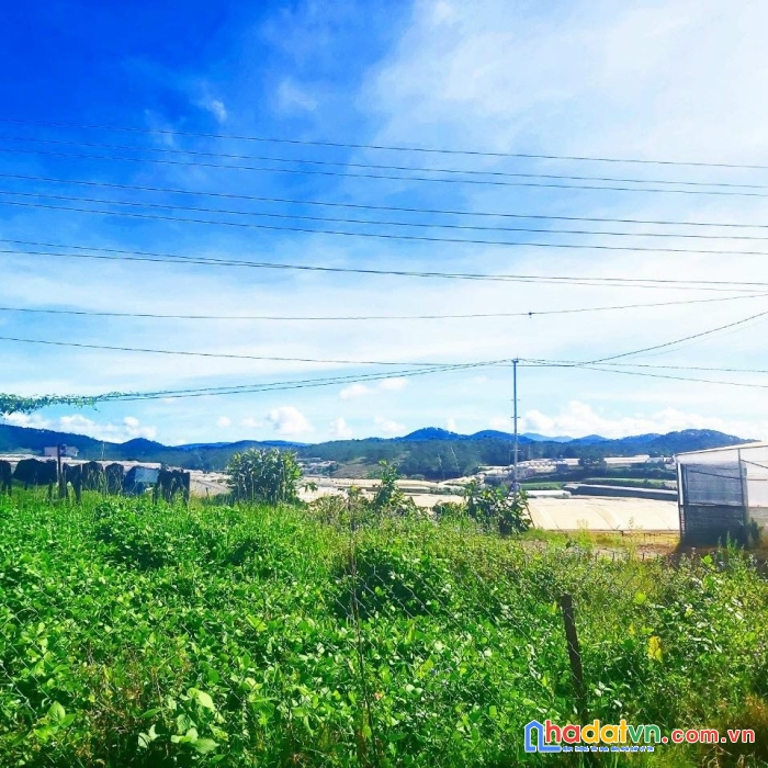 Bán đất biệt lập trại mát đà lạt 203m2 chỉ 5,2 tỷ