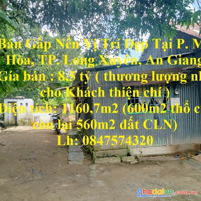 Bán gấp nền vị trí đẹp tại p. mỹ hòa, tp. long xuyên, an giang