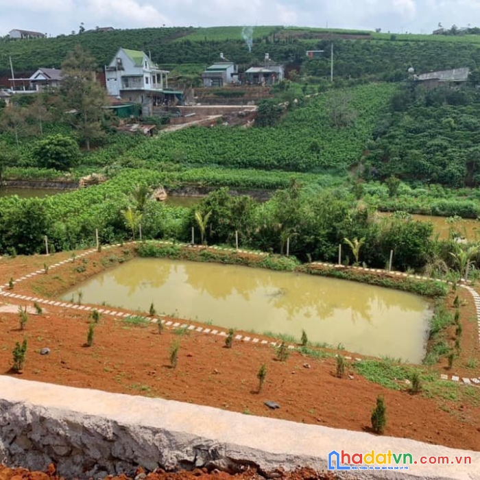 Cần bán 124m mặt tiền đường lý thái tổ- tp. bảo lộc lâm đồng