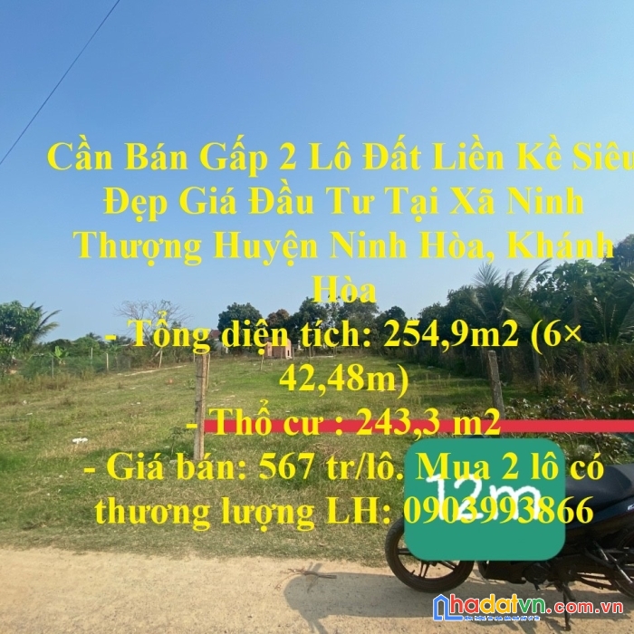 Cần bán gấp 2 lô đất liền kề siêu đẹp giá đầu tư tại xã ninh thượng huyện ninh hòa, khánh hòa
