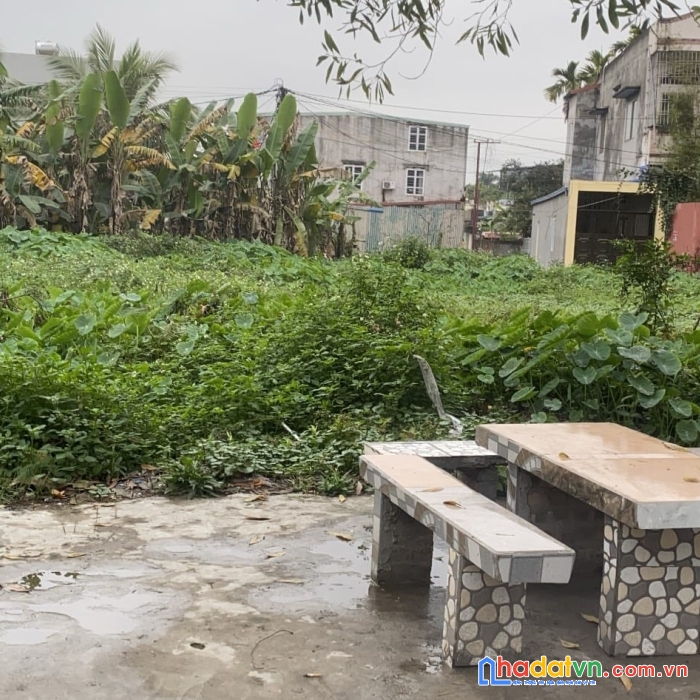 Bán đất lương quán nam sơn