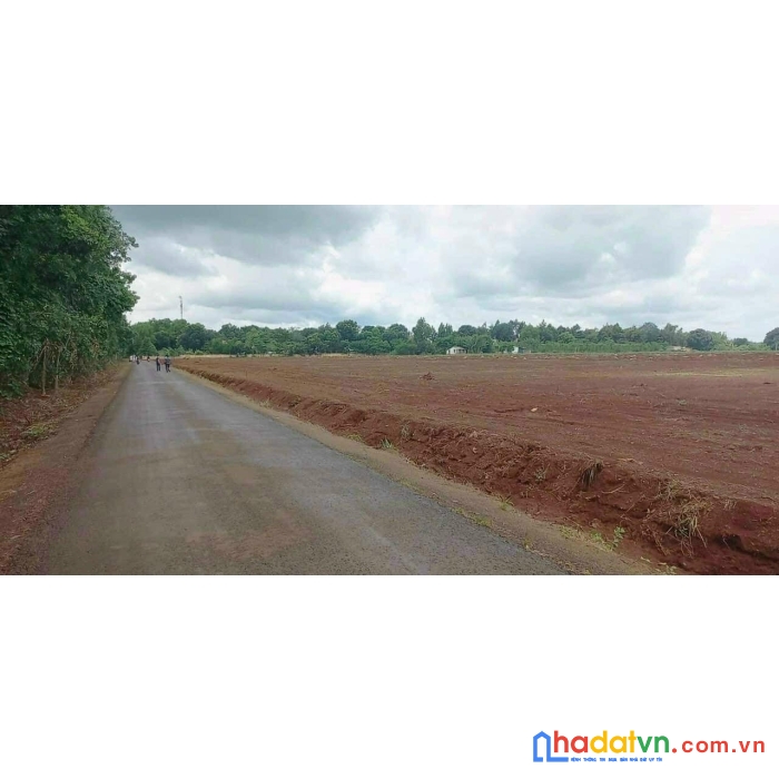 Bán lô đất 1000m2 giá 260 triệu ở gần thành phố