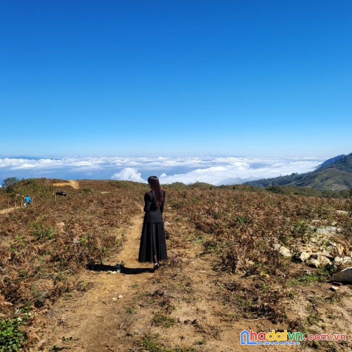 ( sapa 2 )- mảnh đất thuộc thôn trung chải, y tý