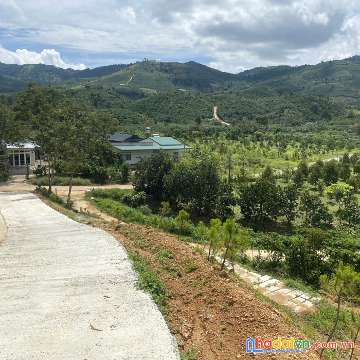 Cần bán 5403m2 tại bảo lộc, có 200m2 thổ cư, 2 mặt tiền.