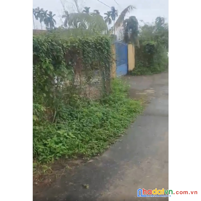 Chính chủ cần bán mảnh vườn 641m2 (200m2 đất ở)