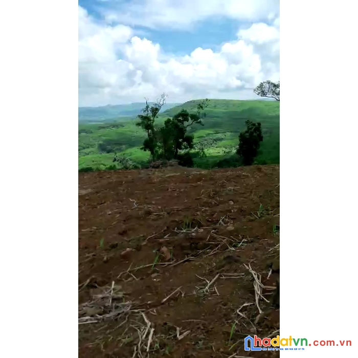 Đất cao nguyên vân hòa(đà lạt 2222) cần bán