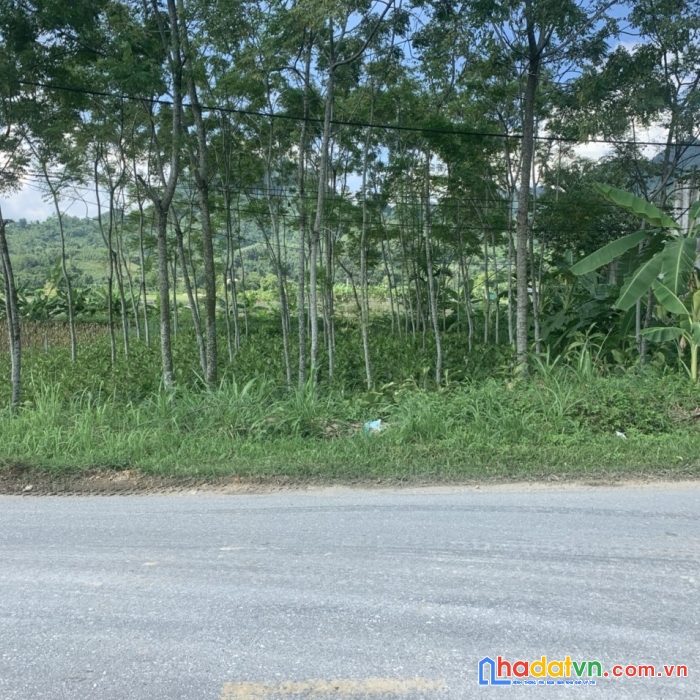 Bán nhà đất tuyên quang
b.á.n đất tuyên quang – mặt đường kim bình rộng 26m từ tràng đà đi nông