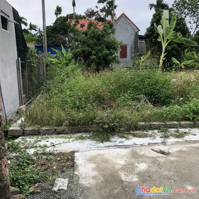 Chính chủ bán lô đất tại thôn đồng quán , xã hoa động, thuỷ nguyên,  hải phòng