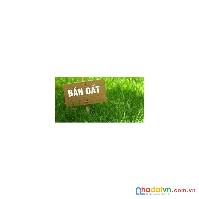 Bán mảnh đất phố hoàng cầu, đống đa, kinh doanh, 40m2, mt 4m, chỉ 6 tỷ 500