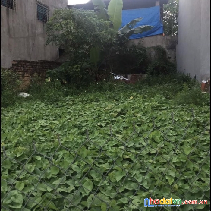 Chính chủ cần bán đất vị trí đẹp tại cao bằng