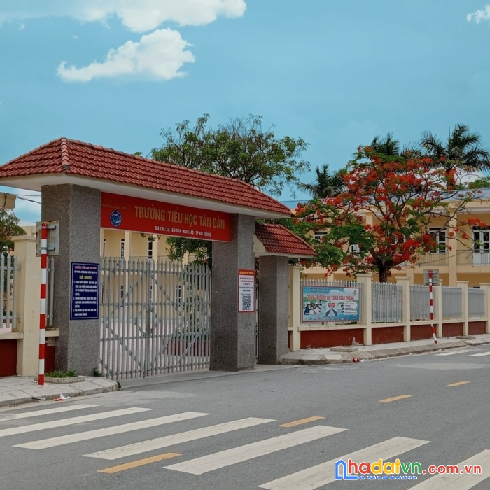 Chính chủ bán đất ngay sát cạnh trung tâm xã tân dân và gần đường tỉnh lộ 360