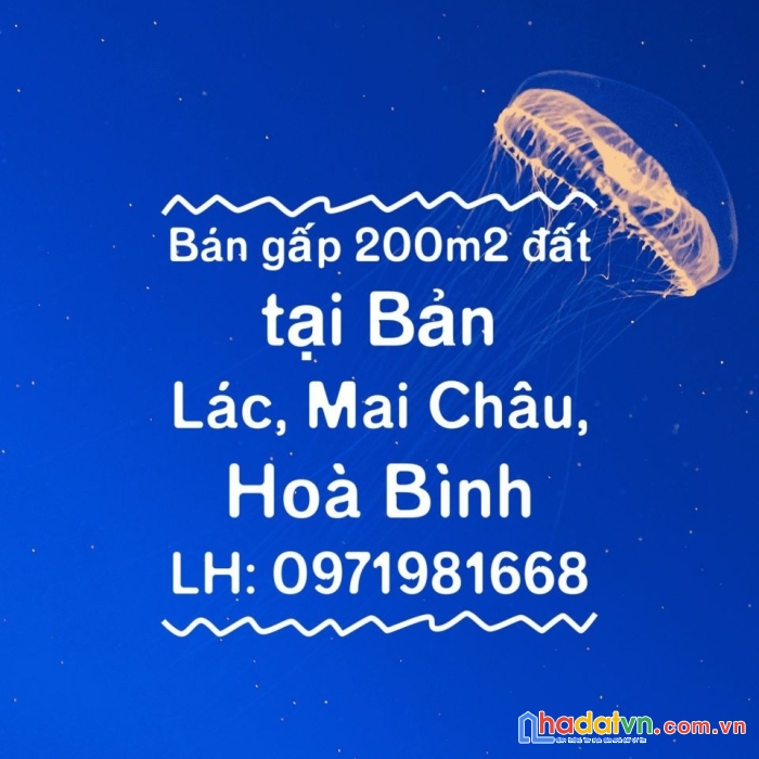 Cần bán lô đất tại bản lác, mai châu, hòa bình diện tích 200m . full đất thổ cư mặt tiền 8,5m.