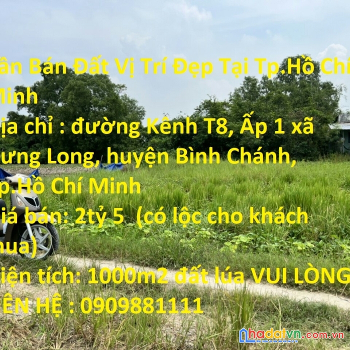 Cần bán đất vị trí đẹp tại tp.hồ chí minh