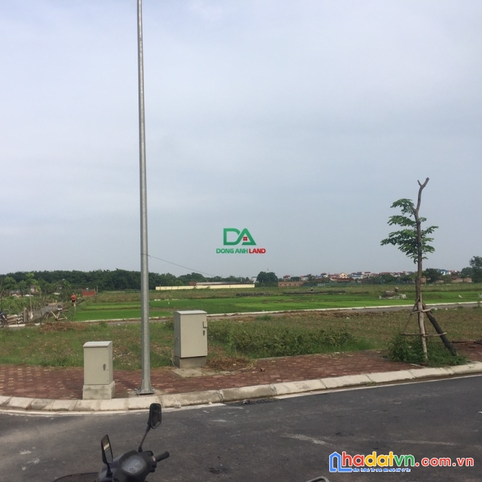 Bán đất đấu giá x3 đào thục xã thụy lâm đông anh đường 15m giá đầu tư