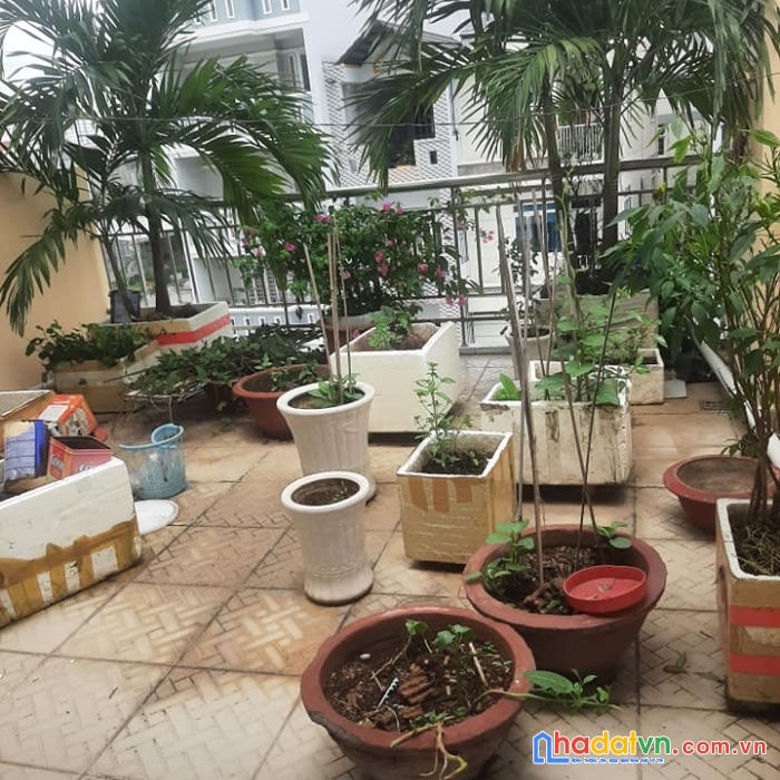 Cho thuê nhà nguyên căn đường huỳnh tấn phát quận 7, gần cầu phú mỹ