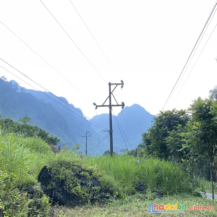 Bán nhanh 1.212,7m2 mảnh đất thôn đầu cầu 1 - cán tỷ - quản bạ - hà giang lưng tựa núi, mặt view