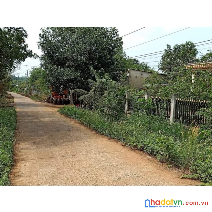 Cần bán lô đất vị trí đẹp tại xã thanh phú- thị xã bình long