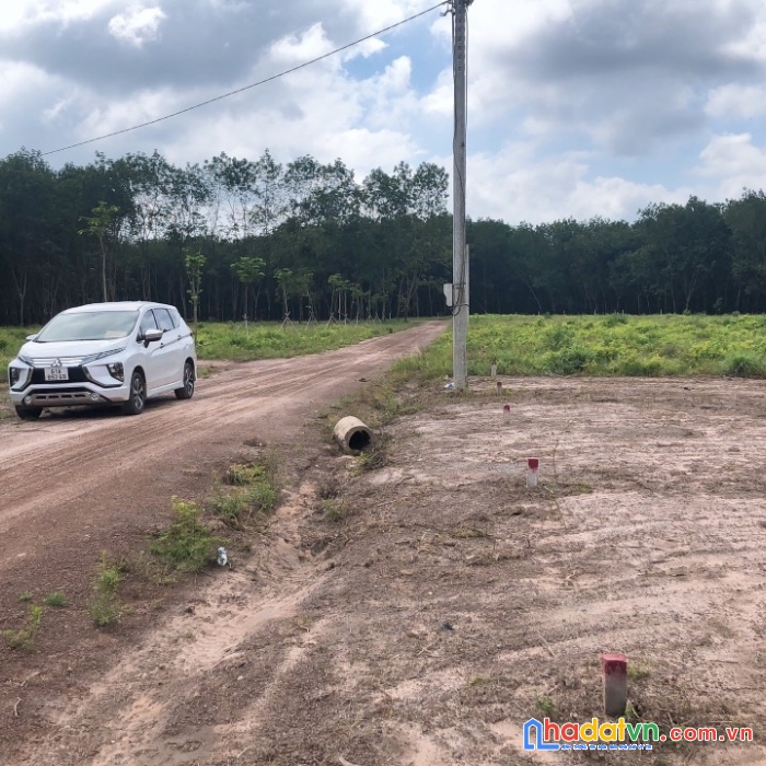 Cần bán gấp lô đất giá siêu ưu đãi tại lộc ninh tỉnh bình phước.