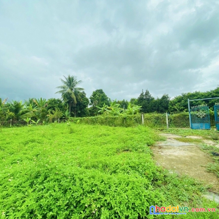 Sở hữu ngay lô đất mặt tiền siêu đẹp, giá siêu rẻ tại diên khánh - khánh hòa