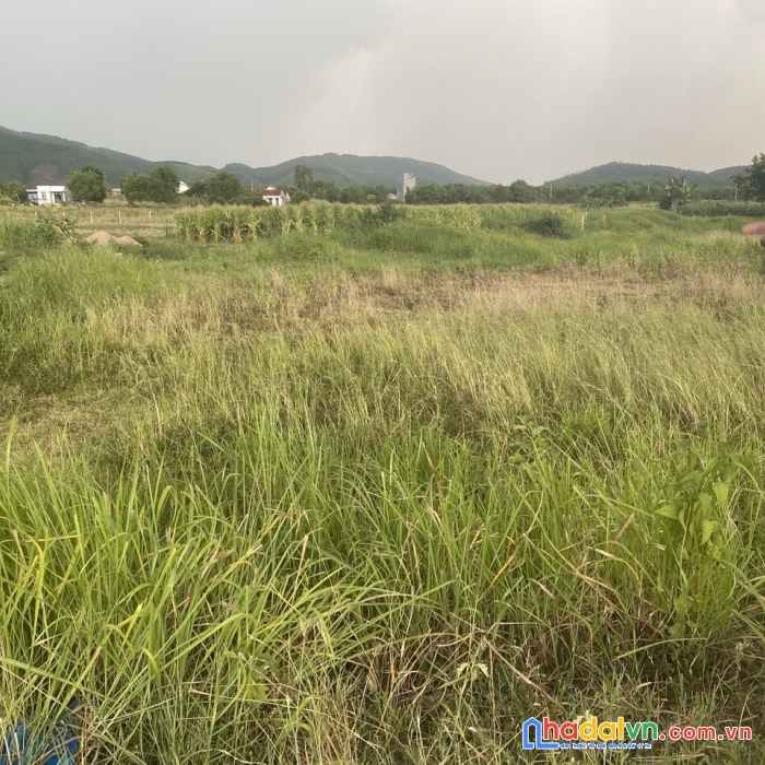 Bán lô đất thôn trung xã ninh tân ninh hoà