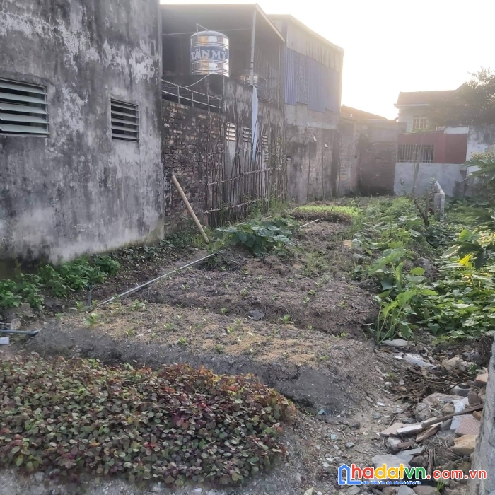 Chính chủ cần bán lô đất ở tổ dân phố kha lâm 6 - phường nam sơn - quận kiến an - tp hải phòng