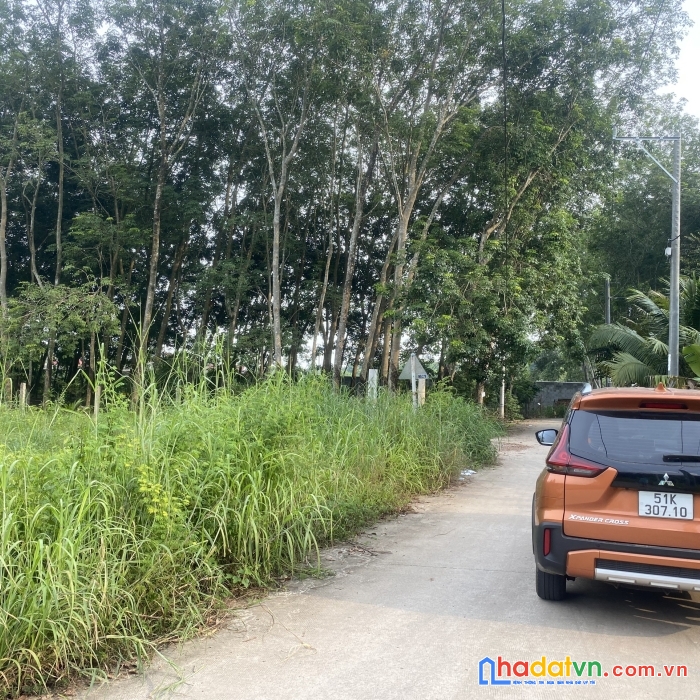 250m2 bàu bàng, bình dương cách ql13 chỉ 50m