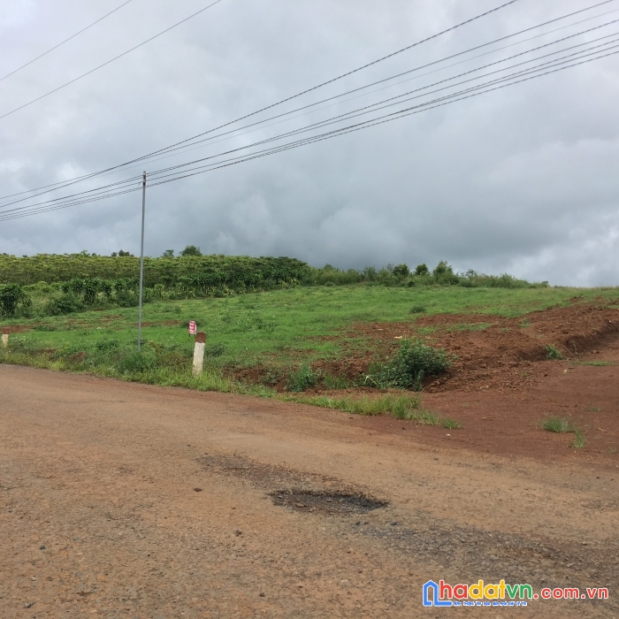 Đất vườn view đồi chè lộc quảng, ra bảo lộc 12 phút lái xe, mặt đường nhựa 7m, quy hoạch đất thổ