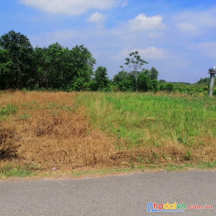 Bán lô đất 462m2 full thổ cư ngay kcn hiệp thạnh giá 850tr