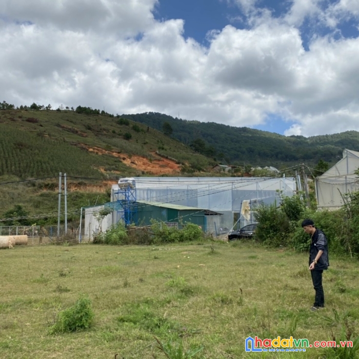 Cần bán gấp lô đất 700m2 duy tân lạc dương lâm đồng giá 9,8 tỷ