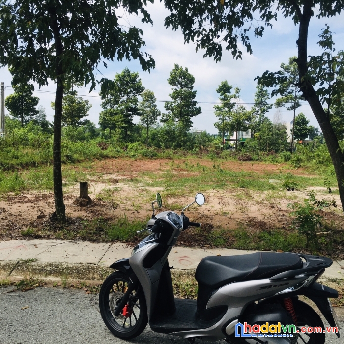 Chính chủ cần tiền bán gấp 300m2 (10 x 30), full thổ cư, shr giá 1 tỷ 100 / lô, gần kd đại nam
