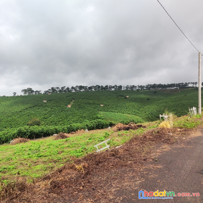 Đất mặt đường lạc long quân, bảo lâm,giá 900tr 143m2 khu dân cư hiện hữu