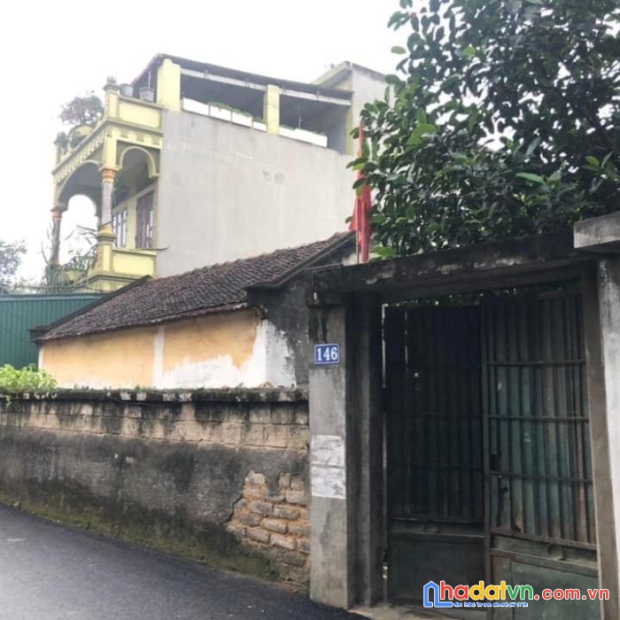 Bán đất chính chủ tại phương vỹ- vũ ninh- bắc ninh.